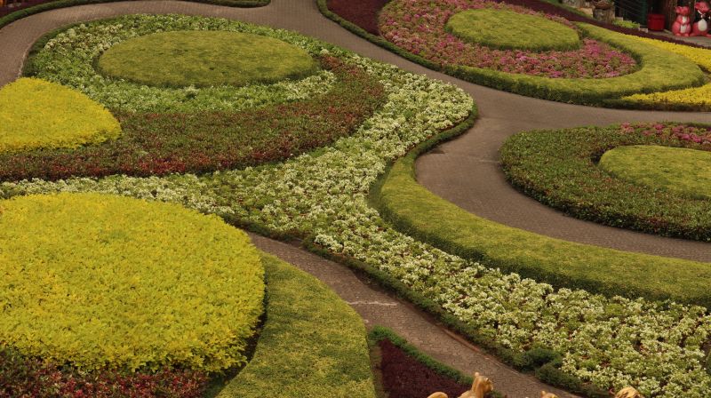 Beautiful Garden Layout